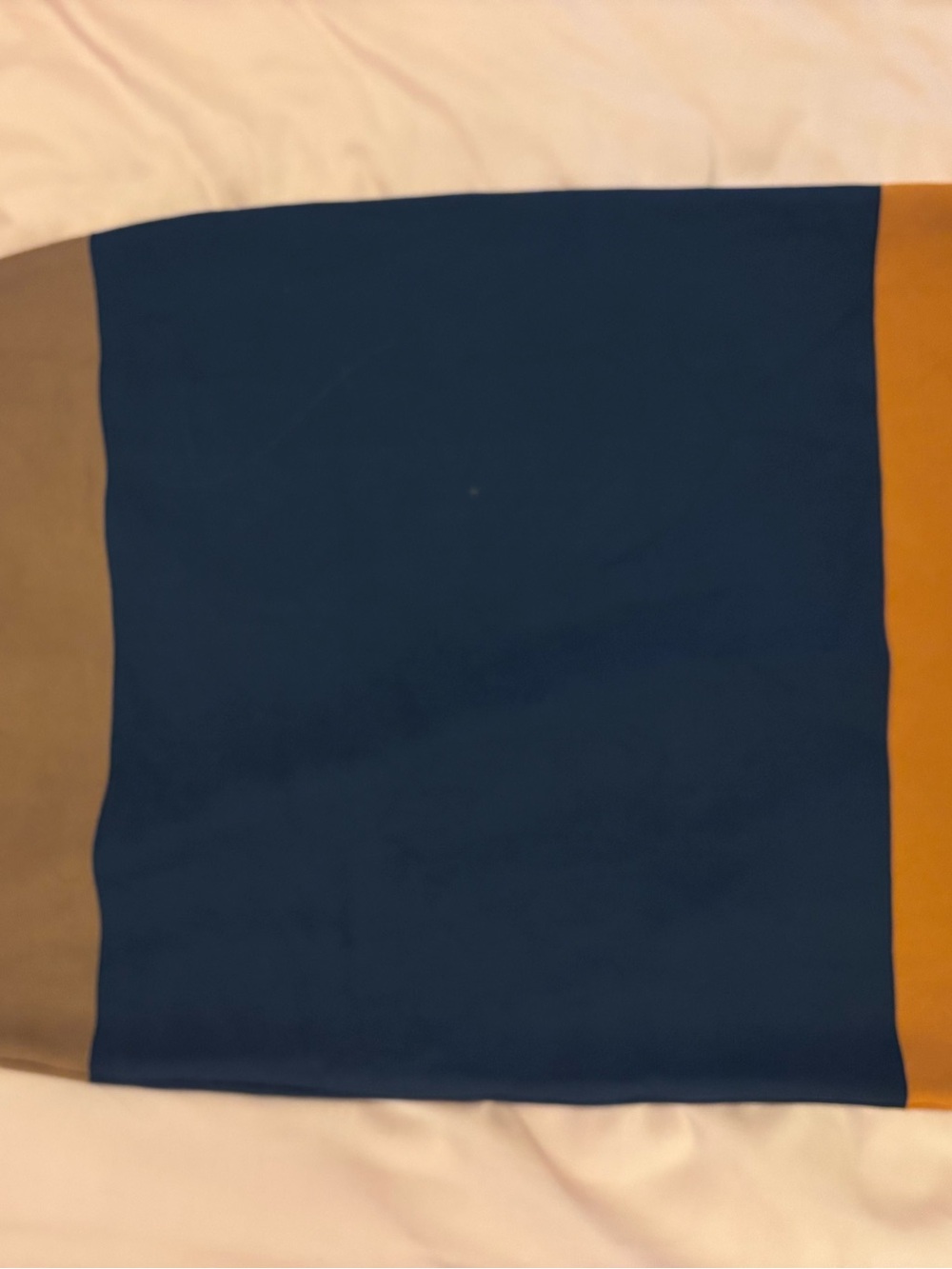 BCBGMaxAzria Rust-Brown and Navy Colorblock Skirt - Picture 2 of 3